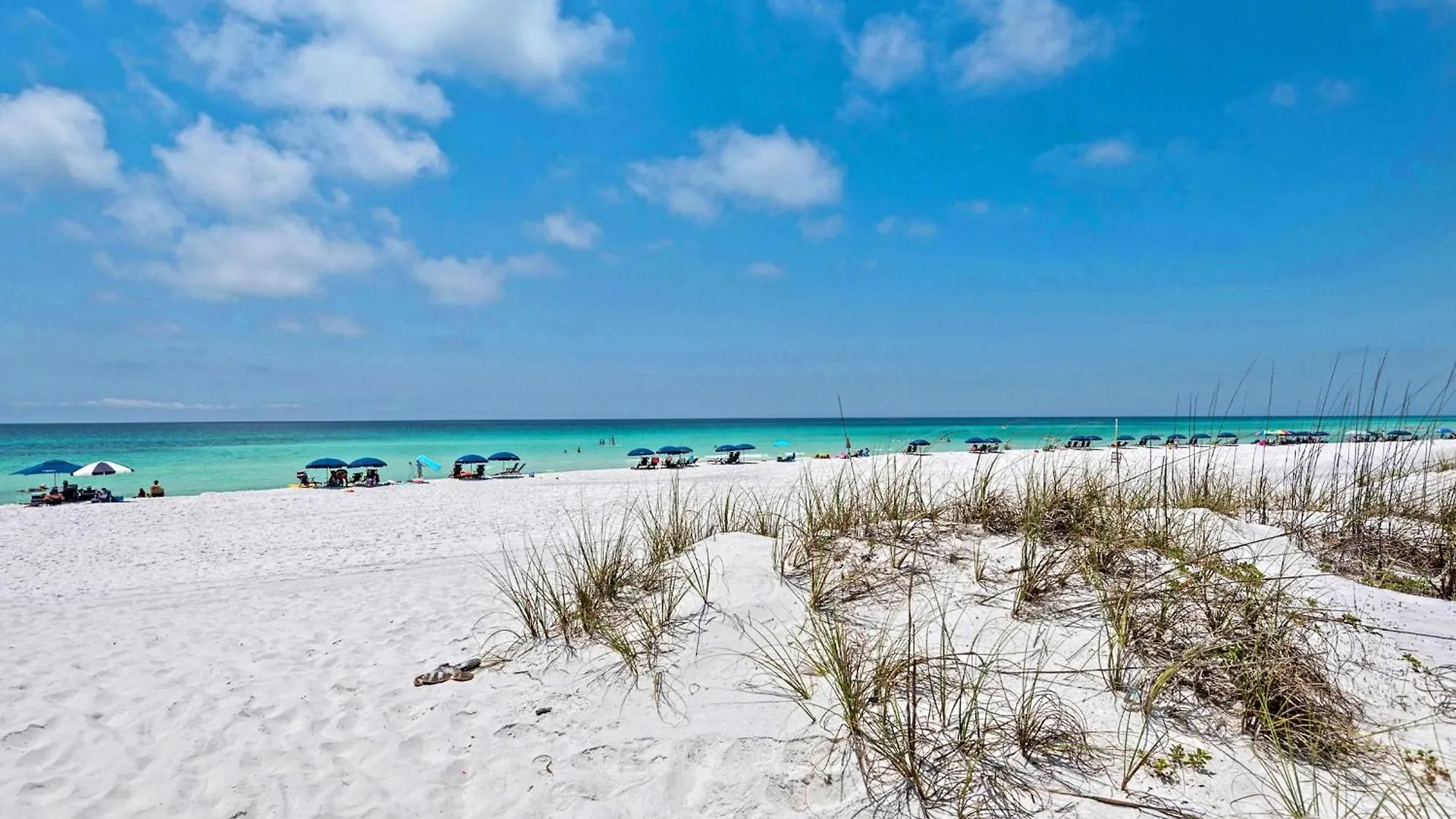 Sand Dollar Beach Cottage Destin USA