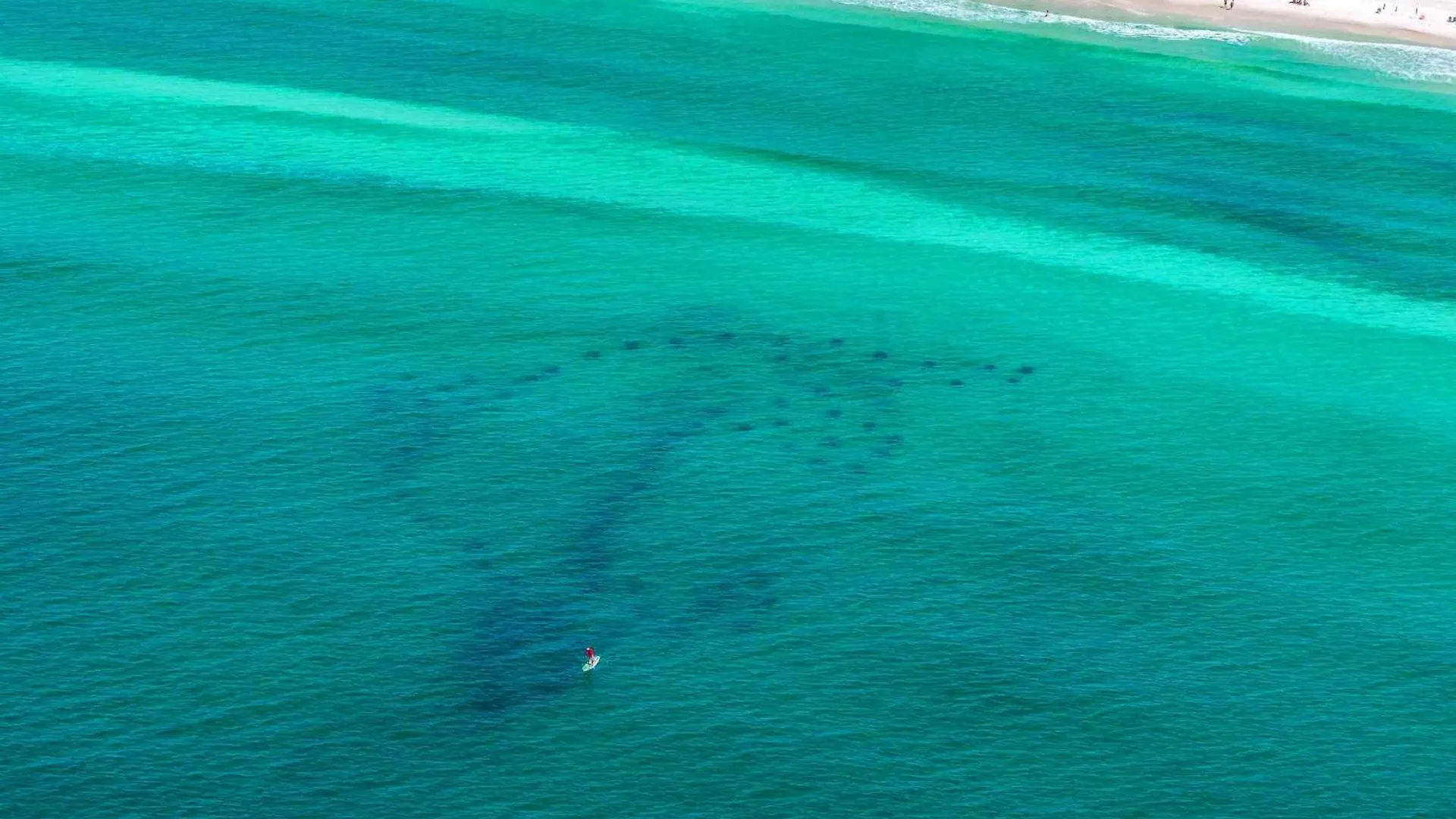 Sand Dollar Beach Cottage Destin 0*,  United States